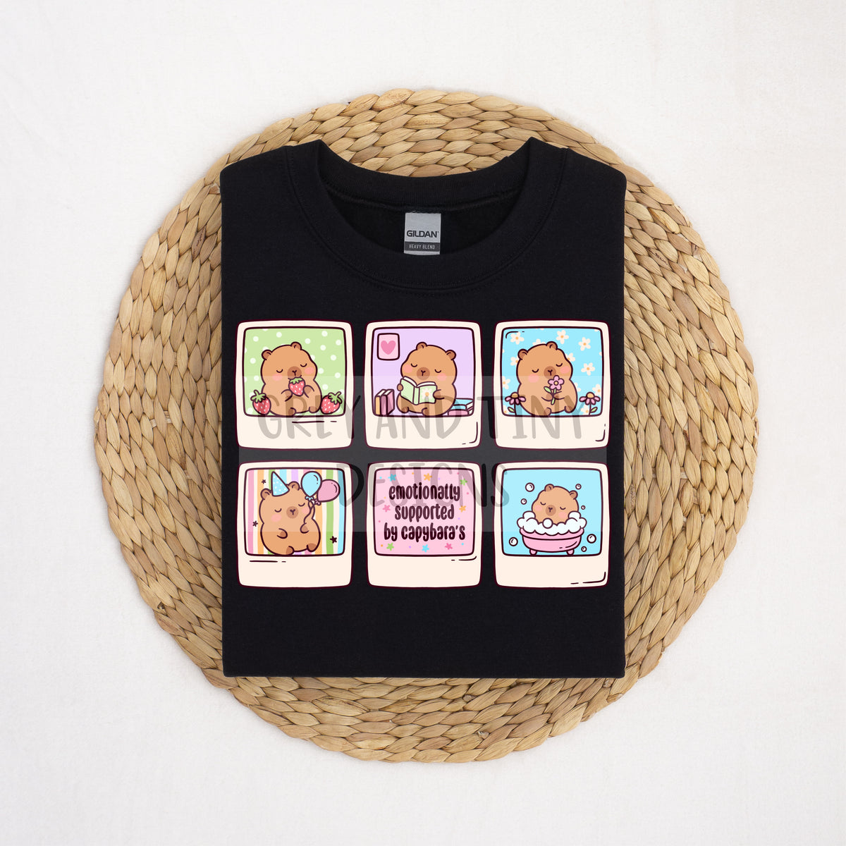 Capybara snapshots PNG