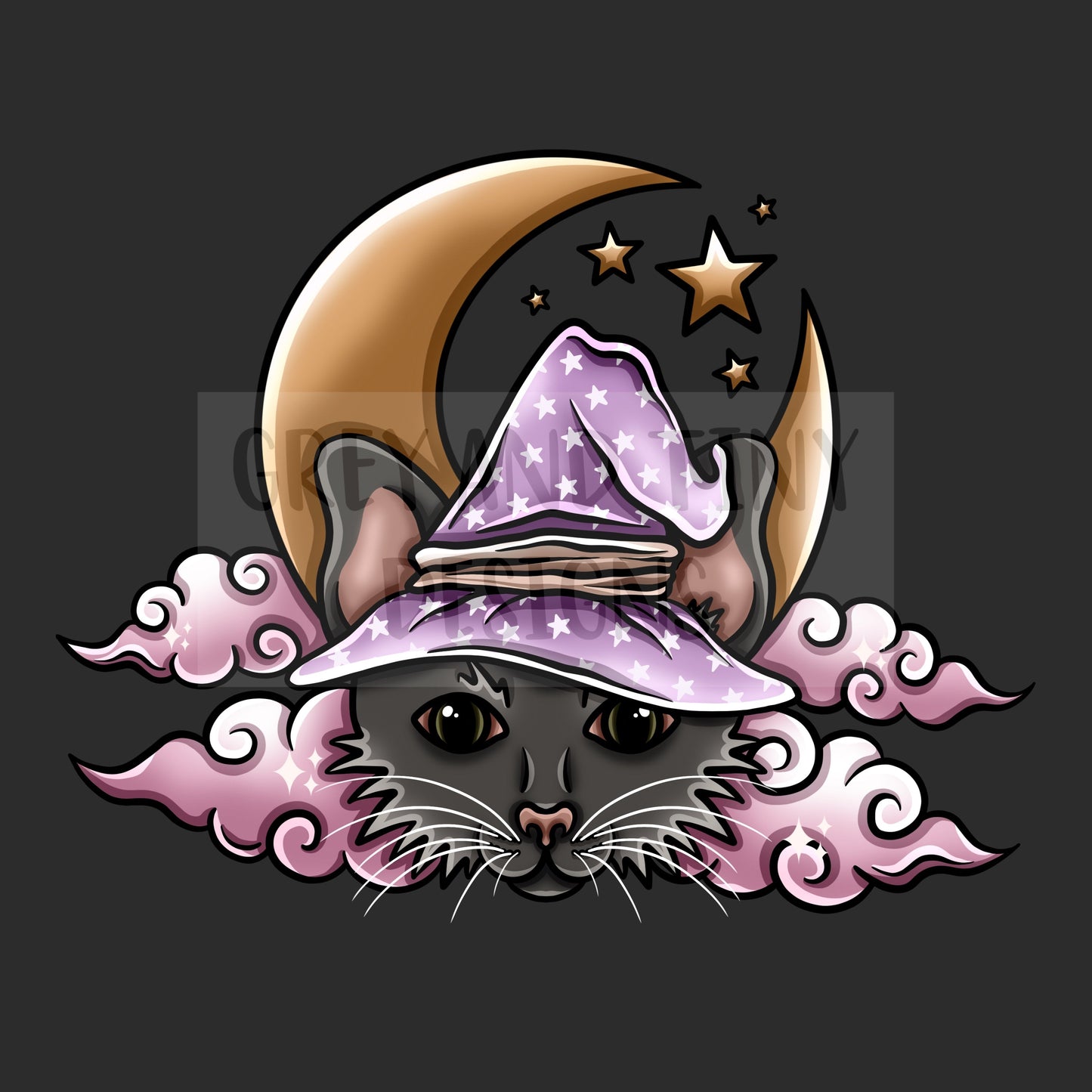 Witches cat png