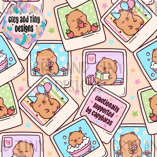 Capybara snapshots