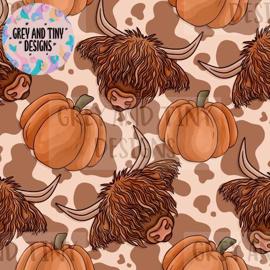 Pumpkin highland coo