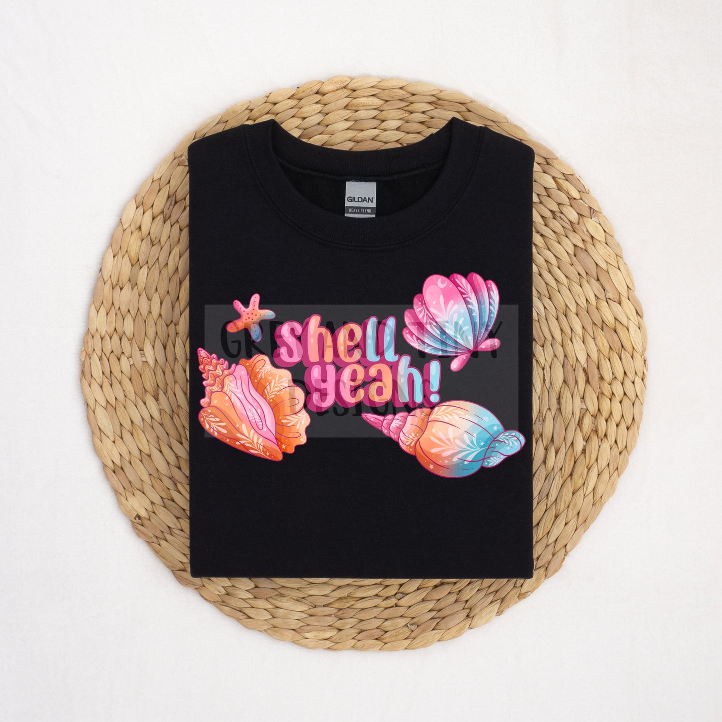 Pretty shells PNG