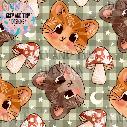 Pretty kitties