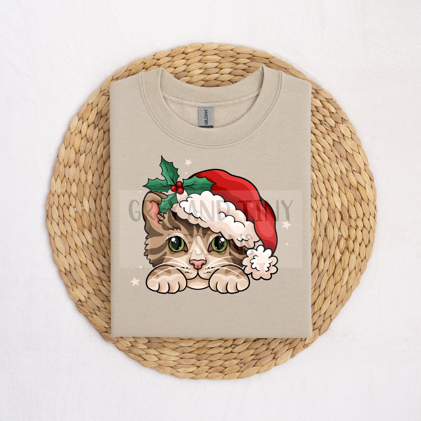 Santa paws cat PNG