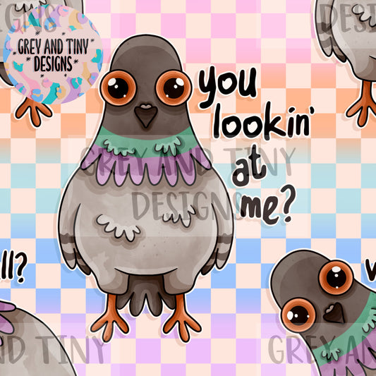 You lookin at me pigeons