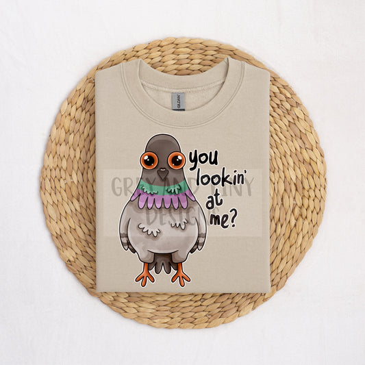 Lookin at me pigeons PNG bundle
