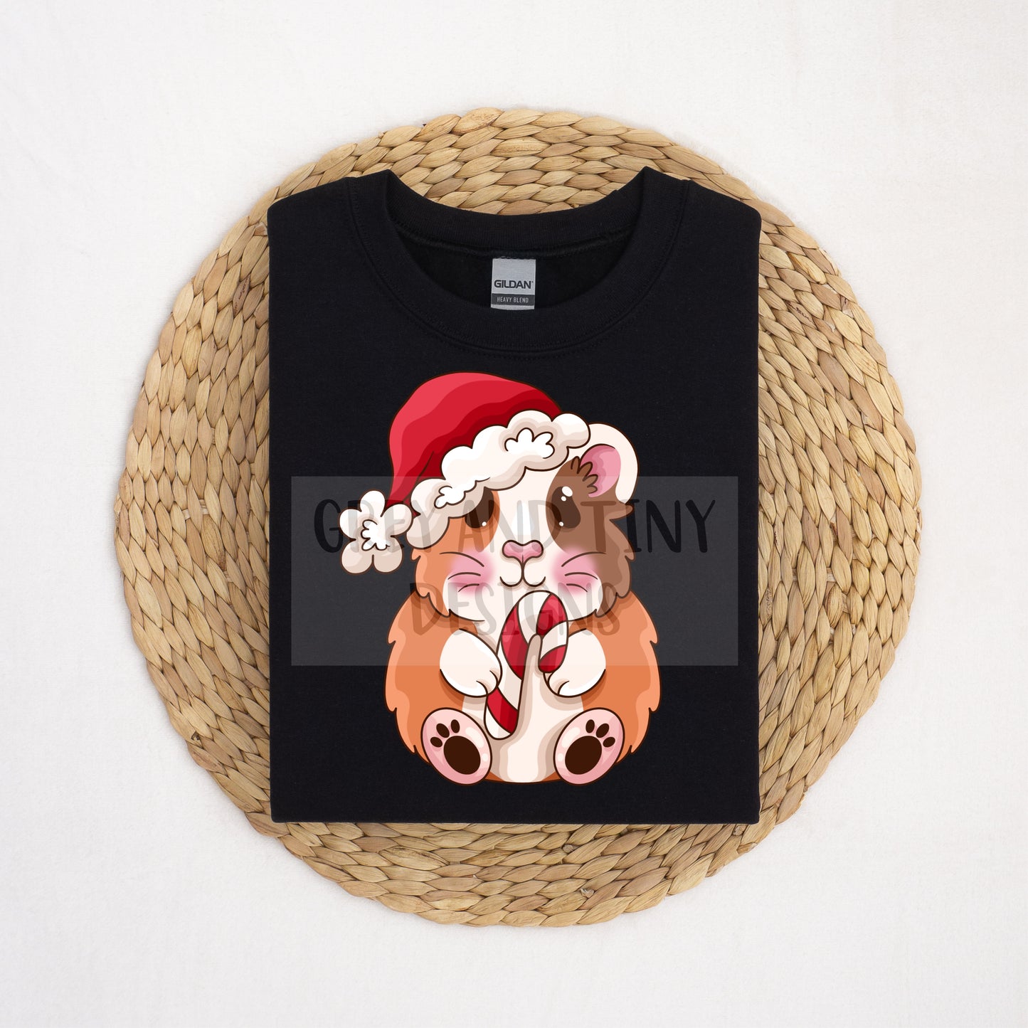 Christmas guinea PNG