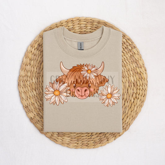 Daisy highland cow PNG