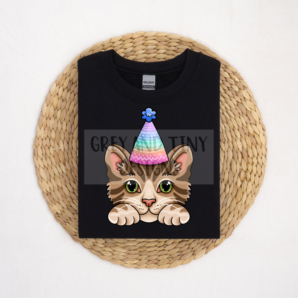Party kitty PNG